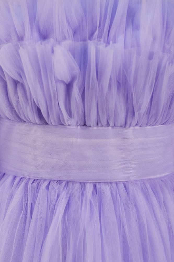 Lavender Off-The-Shoulder Long Sleeves Tulle Homcoming Dresses