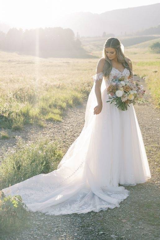 Exquisite V-Neck Off-The-Shoulder A-Line Tulle Wedding Dresses with Appliques