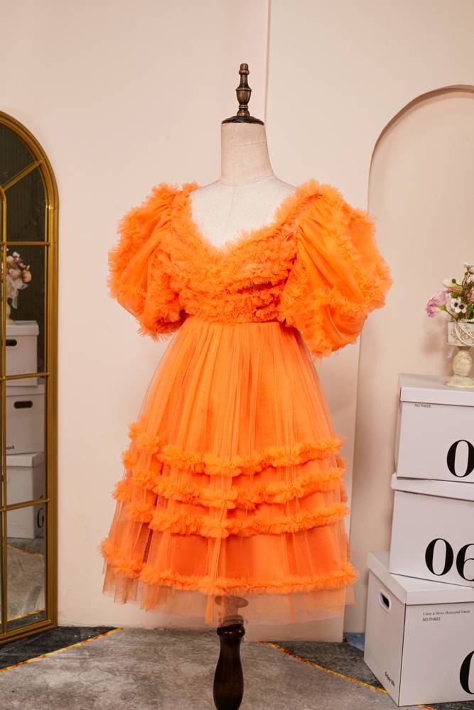 Orange V-Neck Short Sleeves A-Line Tulle Homecoming Dresses